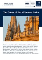 The Future of the AI Summit Series